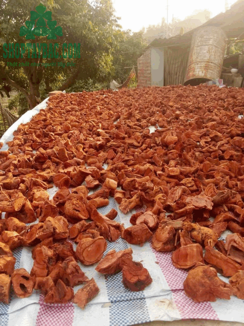 Rễ Mú Từn khô (1 kg)