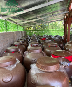 Rượu nếp quê ngâm hạ thổ