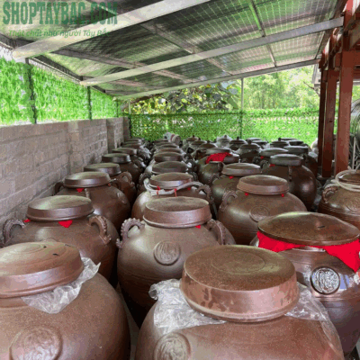 Rượu nếp quê ngâm hạ thổ