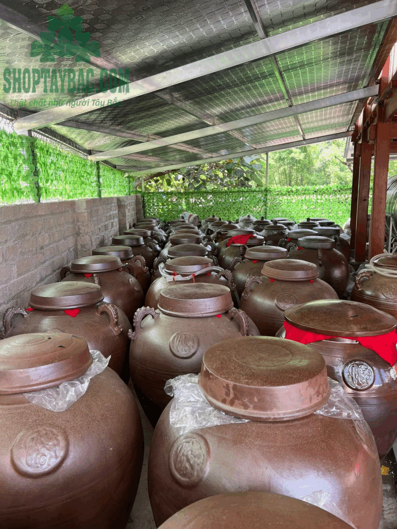 Rượu nếp quê nhà nấu (1 lít)