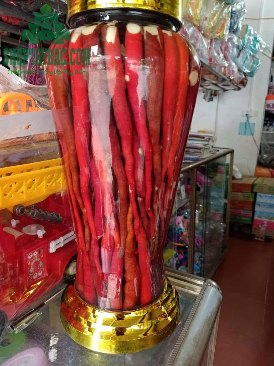 Rượu sâm cau bổ thận tráng dương, tăng cường sinh lực