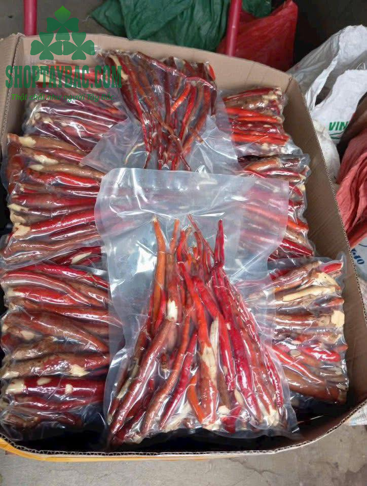 Sâm cau đóng túi 1kg hút chân không