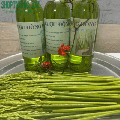 Combo 3 chai rượu đòng đòng 1 lít freeship