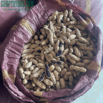 Lạc đen Tây Bắc loại 1 hạt to, mẩy đều