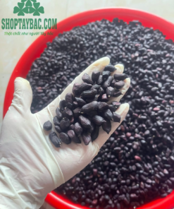 Lạc Đen Tây Bắc (3kg)