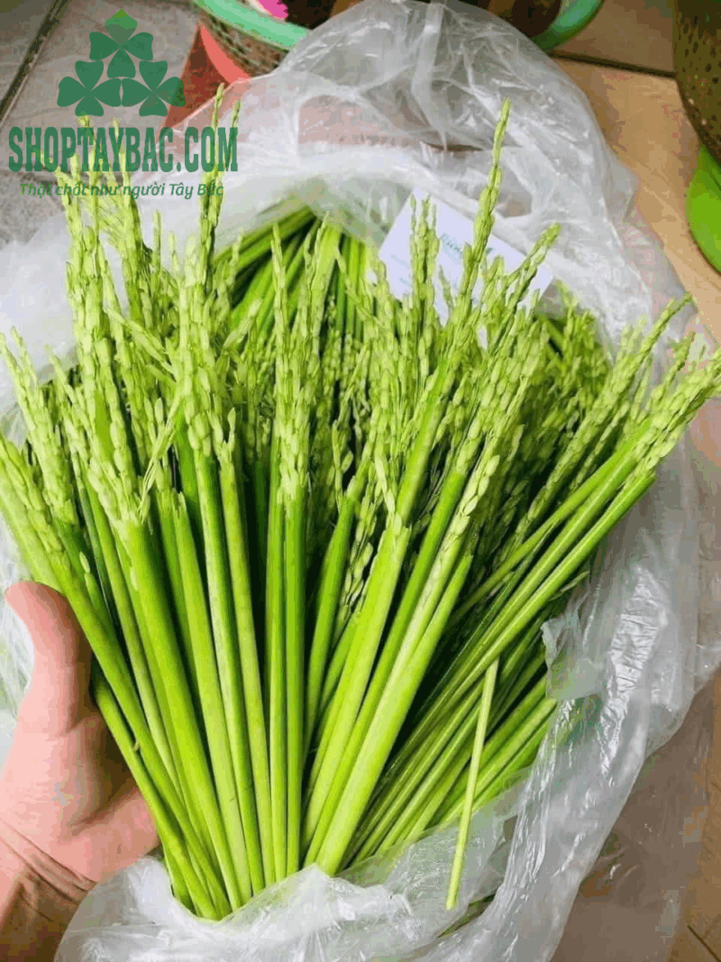 Rượu đòng đòng (1 lít)
