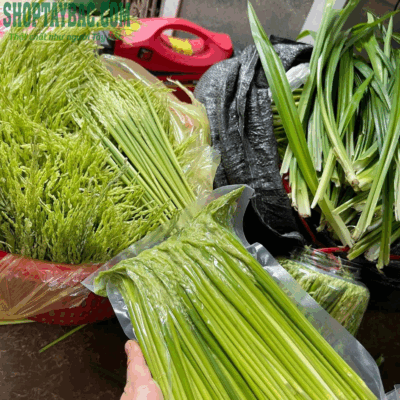 Lúa đòng đòng tươi chuẩn bị ngâm rượu