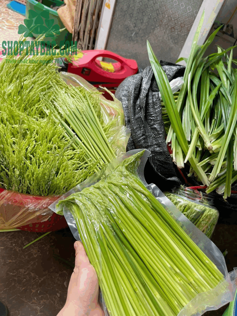 Rượu đòng đòng (1 lít)