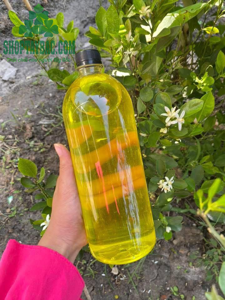 Rượu Ngô Bao Tử Tây Bắc (1 lít)