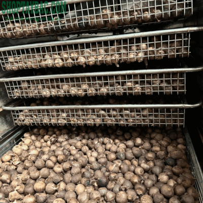 Xưởng sản xuất tỏi đen cô đơn Yên Châu đạt chất lượng VSATTP