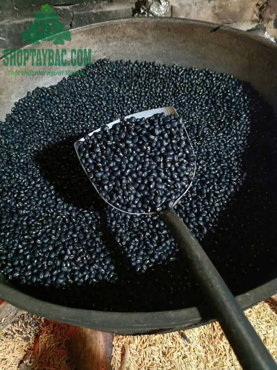 Đậu đen Tây Bắc hạt to, tròn đều