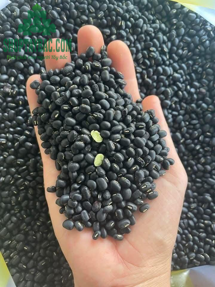 Đậu đen xanh lòng (1kg)