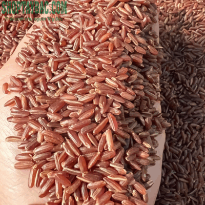 Gạo lứt đỏ huyết rồng loại 1 to, đều