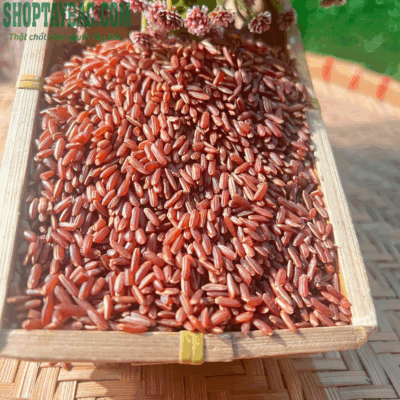 Gạo lứt đỏ với nhiều tác dụng tốt cho sức khỏe