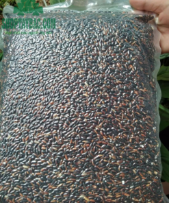 Gạo nếp cẩm nương đóng gói 5kg