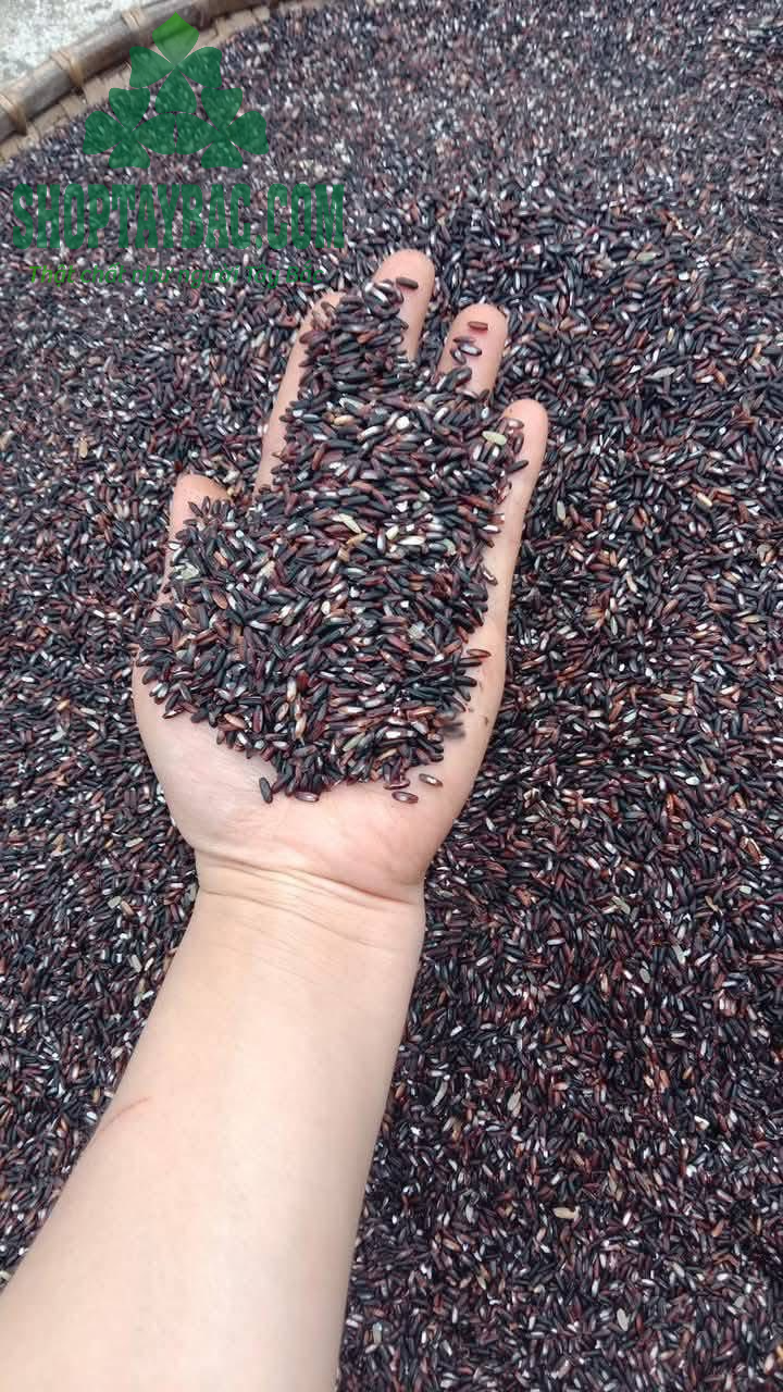 Gạo nếp cẩm nương (5kg)