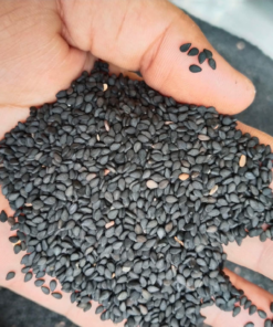 Vừng đen/Mè đen Tây Bắc (1kg)