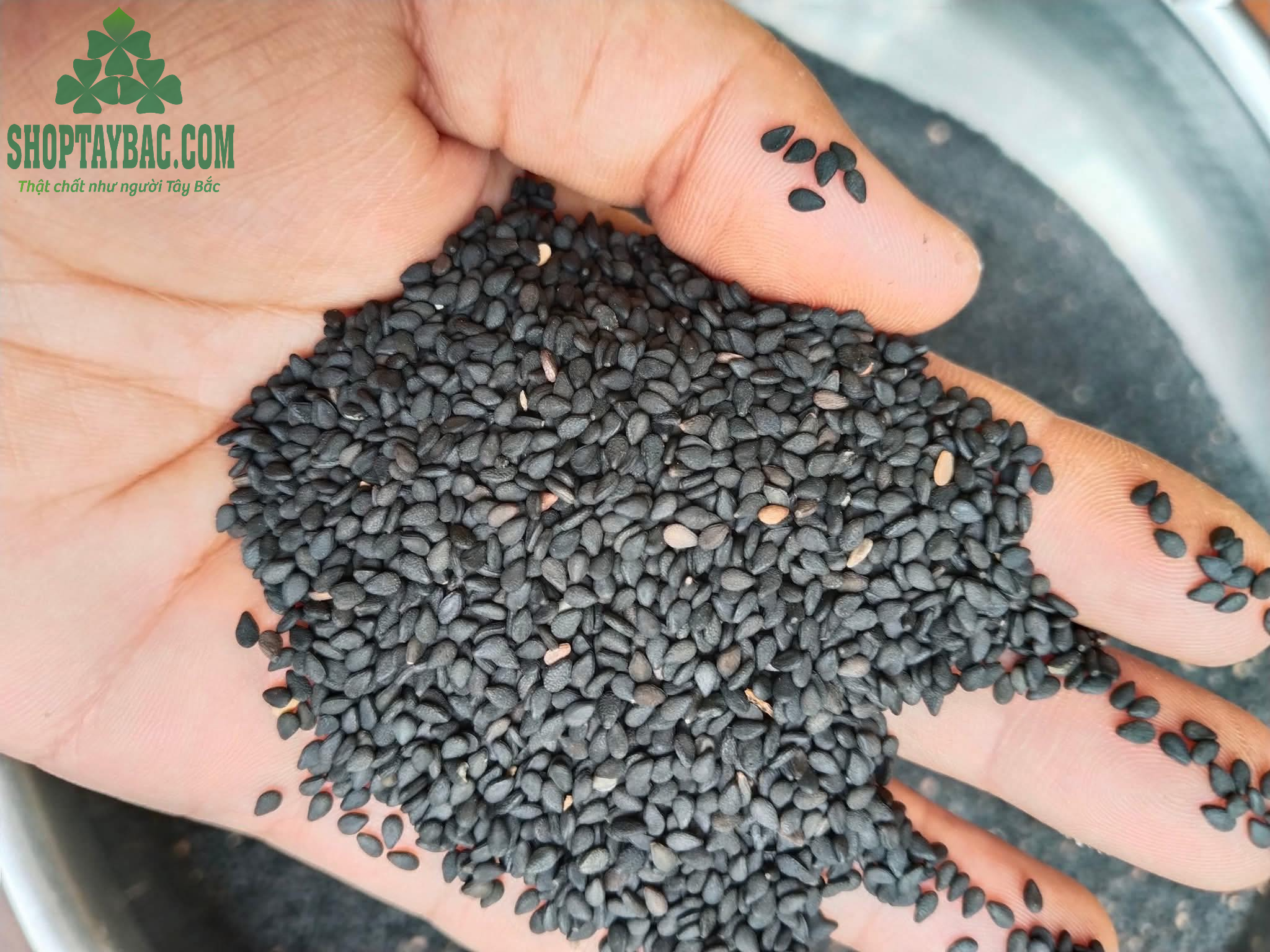 Vừng đen/Mè đen Tây Bắc (1kg)