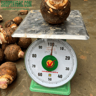 Khoai lệ phố nặng khoảng 1kg