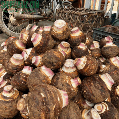 Khoai môn lệ phố đúng vụ