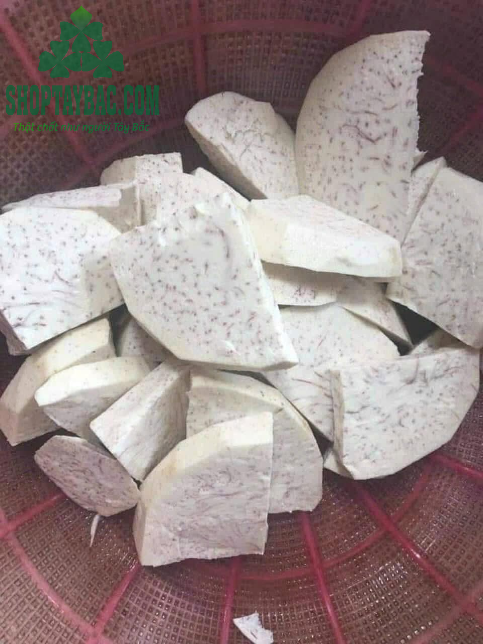 Khoai môn lệ phố được thu mua trực tiếp từ bà con Tây Bắc