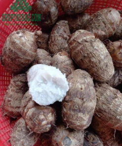 Khoai Sọ Trạm Tấu (5kg)