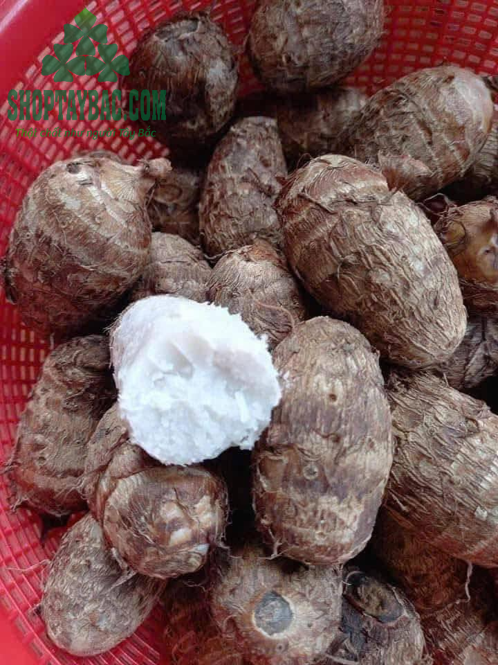 Khoai Sọ Trạm Tấu (5kg)