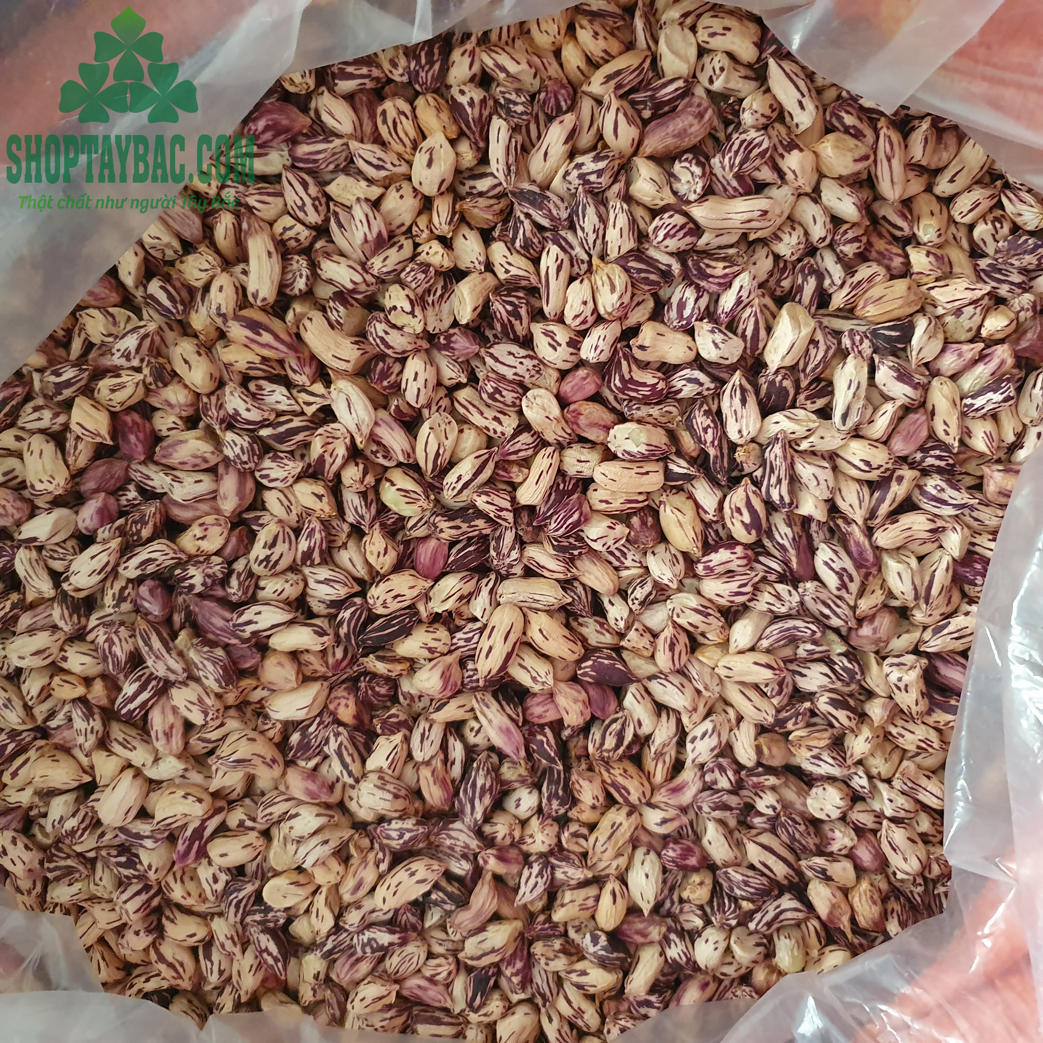 Lạc hoa vằn được phơi sấy thủ công