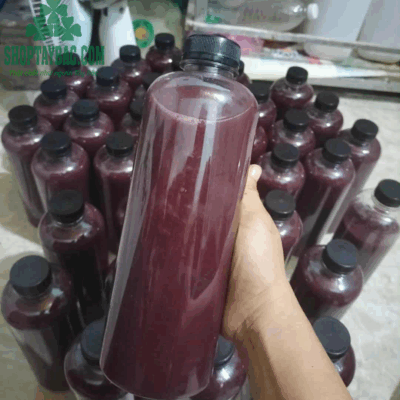 Rượu nếp cẩm đóng chai 1 lít tại Shop Tây BẮc