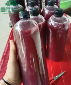 Rượu nếp cẩm được ngâm 6 tháng êm, thơm