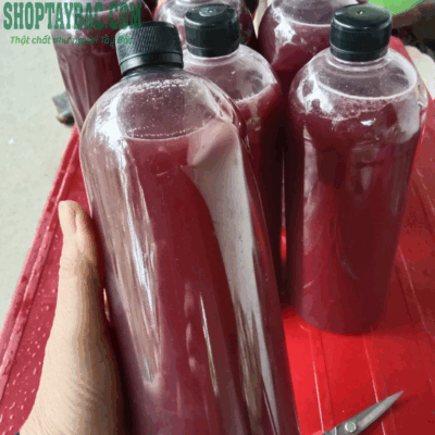 Rượu nếp cẩm được ngâm 6 tháng êm, thơm