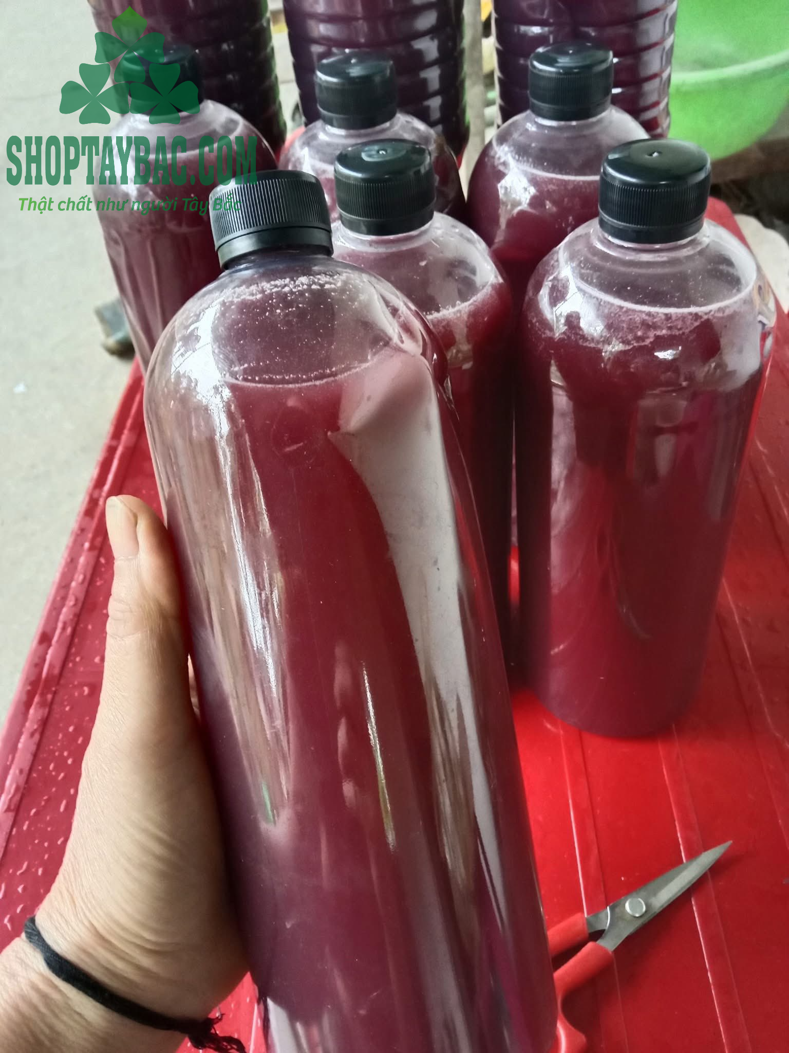 Rượu nếp cẩm được ngâm 6 tháng êm, thơm