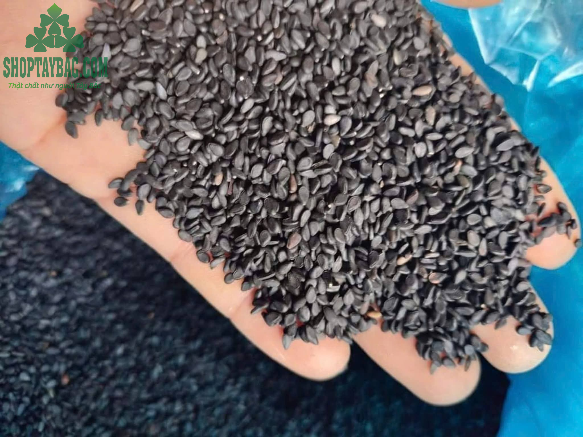 Vừng đen/Mè đen Tây Bắc (1kg) Vừng đen/Mè đen Tây Bắc (1kg)