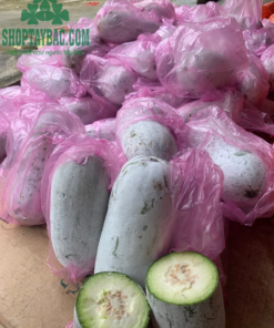 Bí phấn thơm Bắc Cạn giá tốt nhất