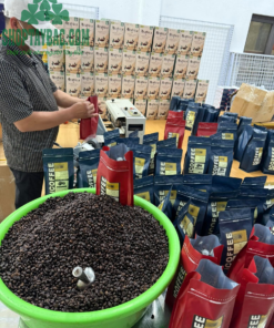 Cà phê được thu hoạch và chế biến thủ công tại Điện Biên