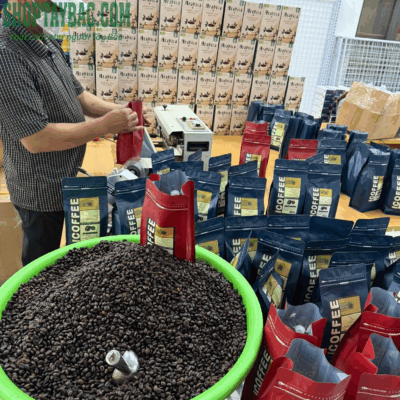 Cà phê được thu hoạch và chế biến thủ công tại Điện Biên