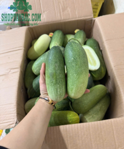 Dưa mèo Tây Bắc loại 1 to tròn đều