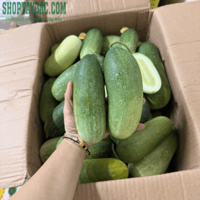 Dưa mèo Tây Bắc (05 kg)