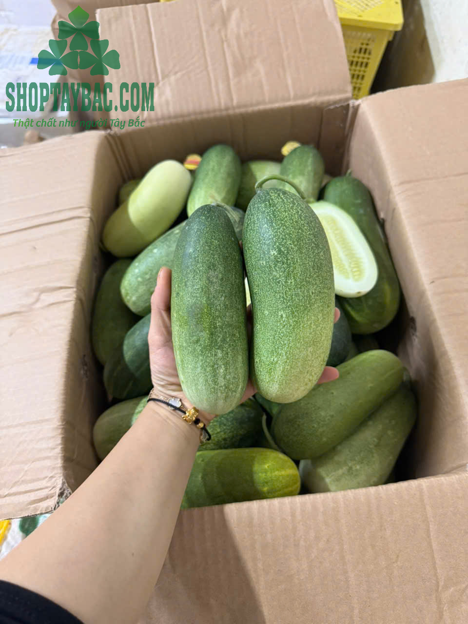 Dưa mèo Tây Bắc (05 kg)