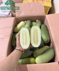 Dưa mèo đóng hộp 10kg ship toàn quốc