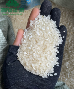 Gạo nếp nương Lào (05 kg)