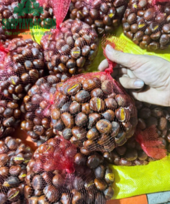 Hạt dẻ Trùng Khánh đóng gói tại Shop Tây Bắc