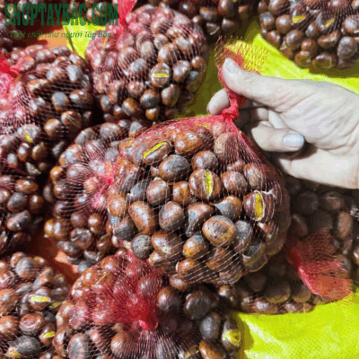 Hạt dẻ Trùng Khánh đóng gói tại Shop Tây Bắc