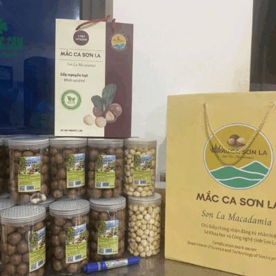 Mắc ca Tây Bắc với giá trị dinh dưỡng cao