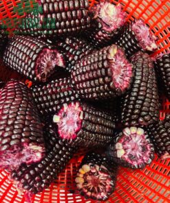 Ngô tím Tây Bắc (03 kg)