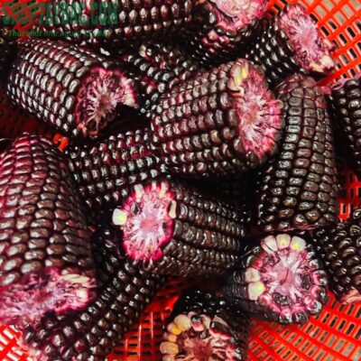 Ngô tím Tây Bắc (03 kg)