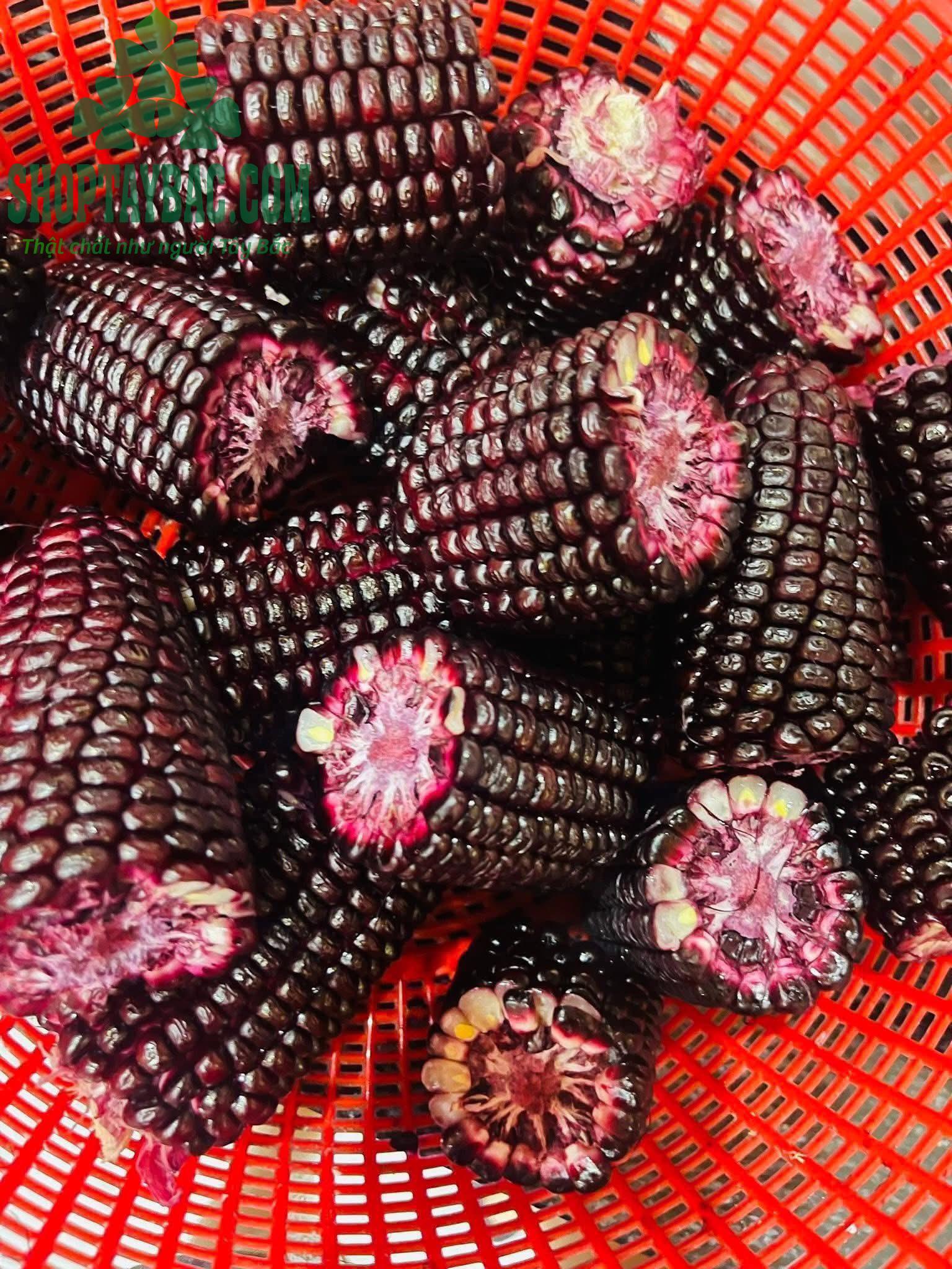 Ngô tím Tây Bắc (03 kg)