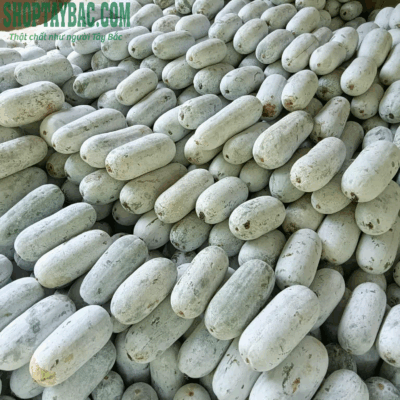 Thu hoạch tại vườn bí phấn thơm Bắc Cạn