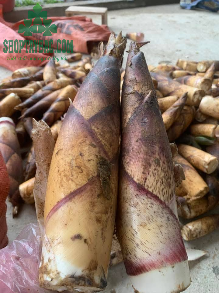 Măng vầu ngọt loại 1