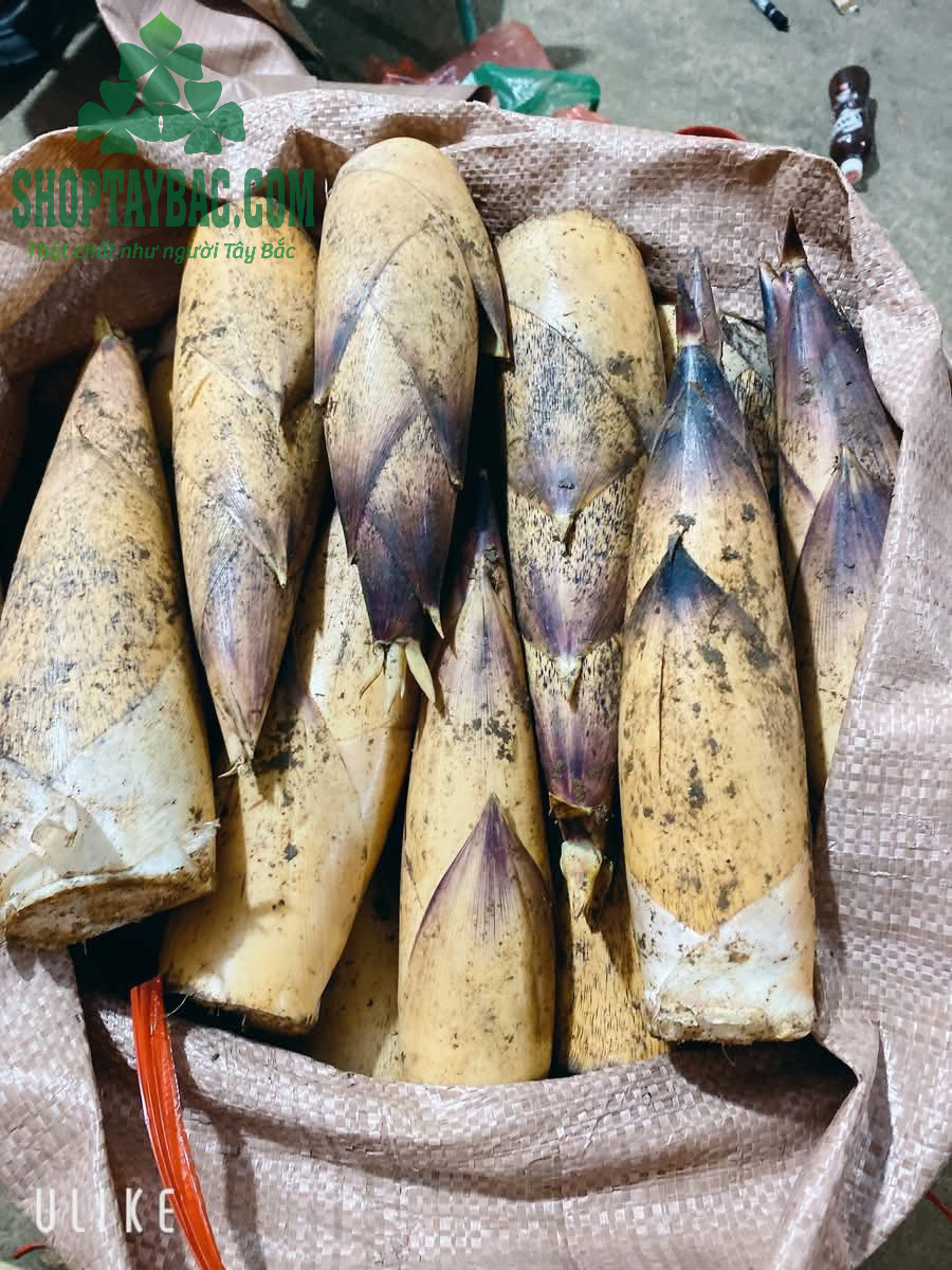 Măng vầu ngọt Tây Bắc (05 kg)